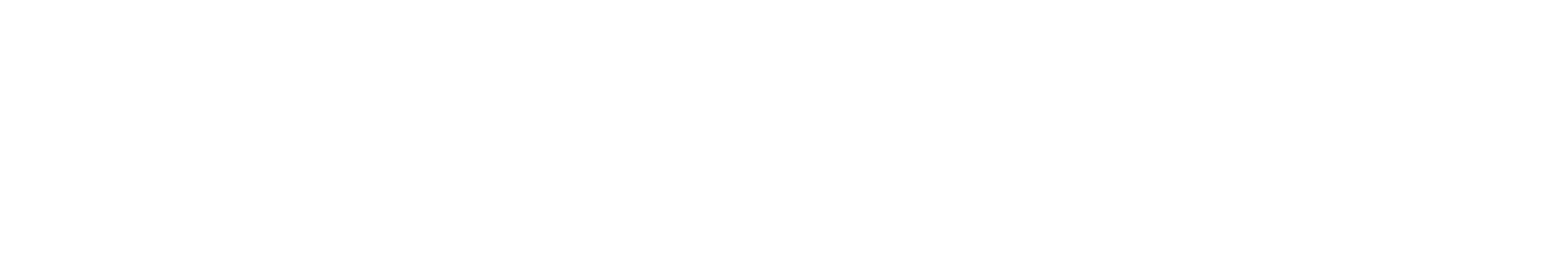 Delsey Store